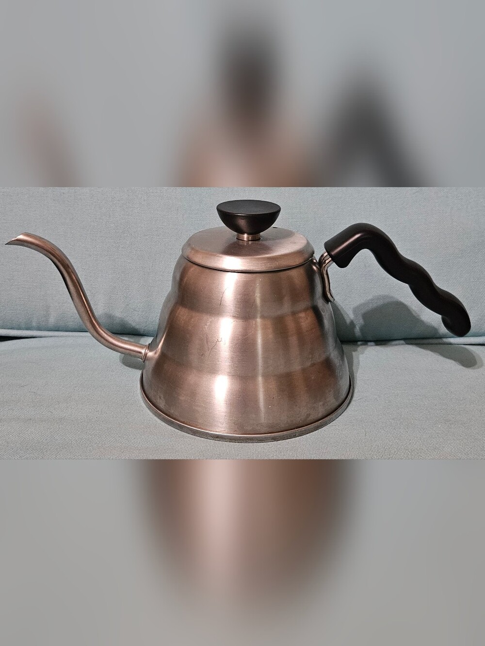 The Hario V60 Buono 1.0L Stainless Steel Pour-over Kettle